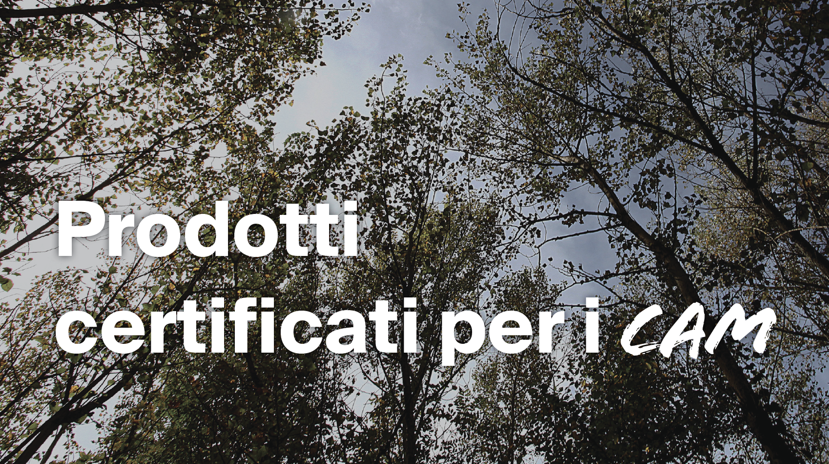 Scopri tutti i prodotti CAM Laterlite
