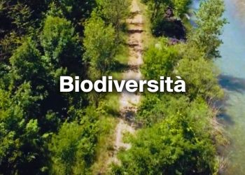 Biodiversità Laterlite