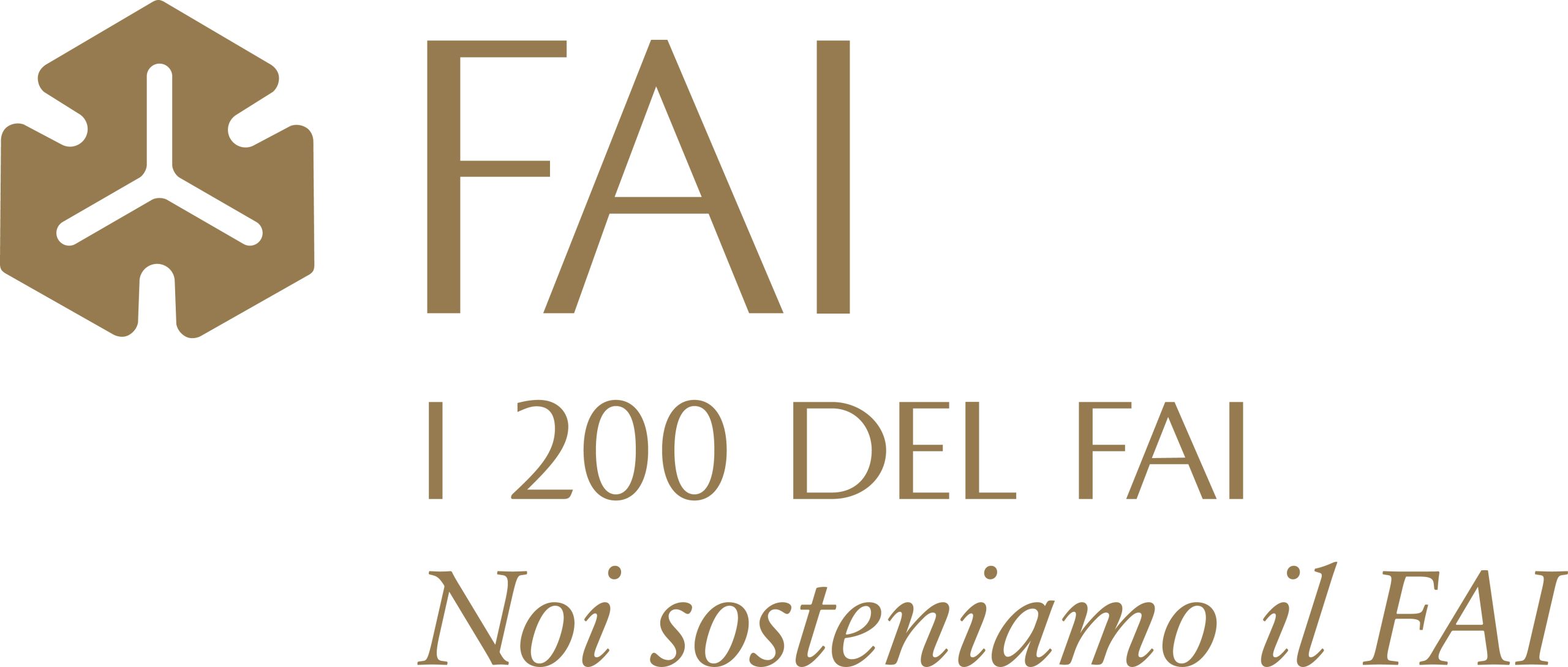 Logo FAI