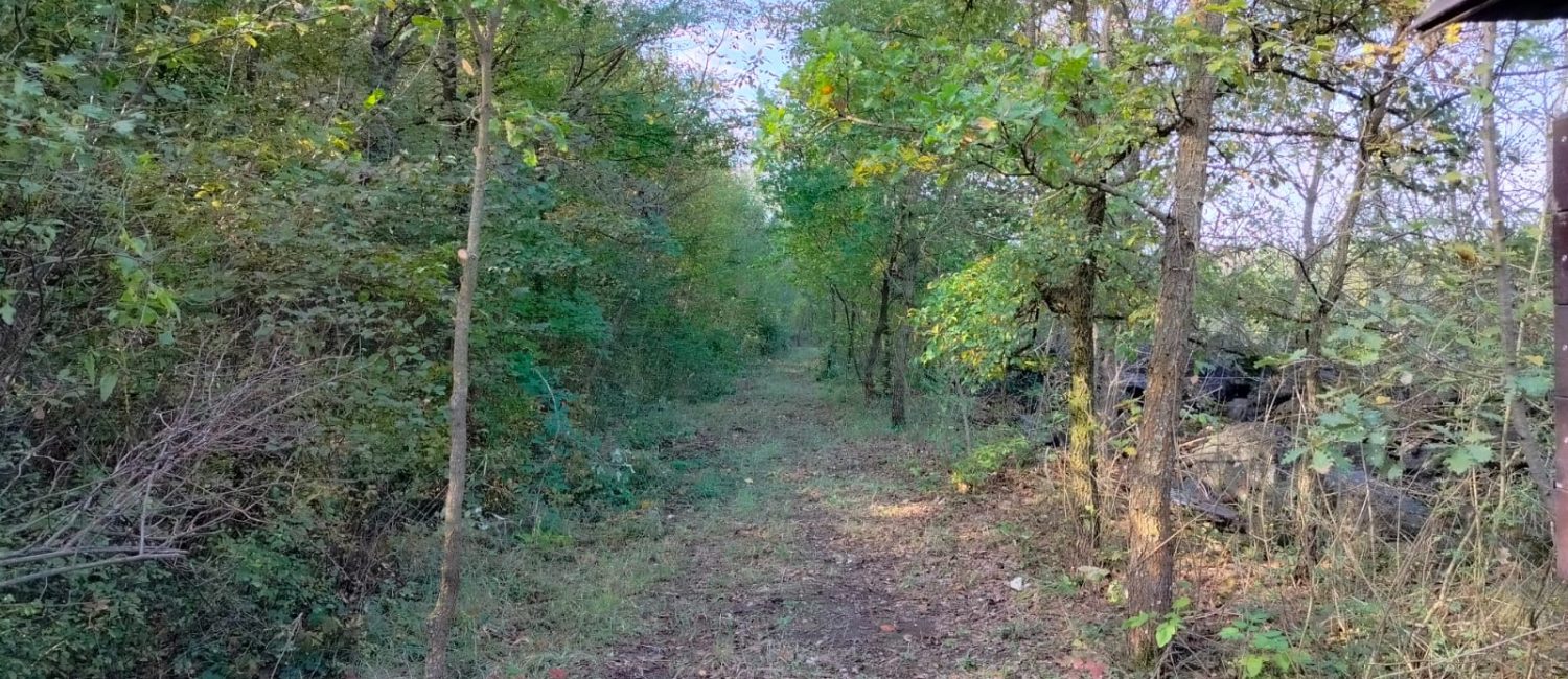 Sentiero-Laterlite-Parma